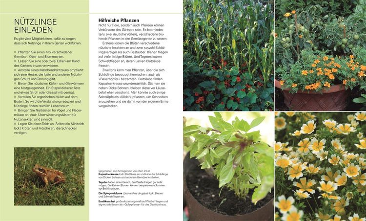 Produktbild: Gem&uuml;se f&uuml;r jeden Garten