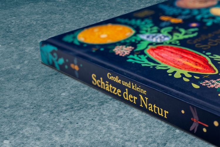 Produktbild: Gro&szlig;e und kleine Sch&auml;tze der Natur. Gro&szlig;e und kleine Sch&auml;tze der Natur