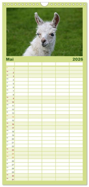 Produktbild: Familienplaner 2026 - Lama-Kalender mit 5 Spalten (Wandkalender, 21 x 45 cm) CALVENDO
