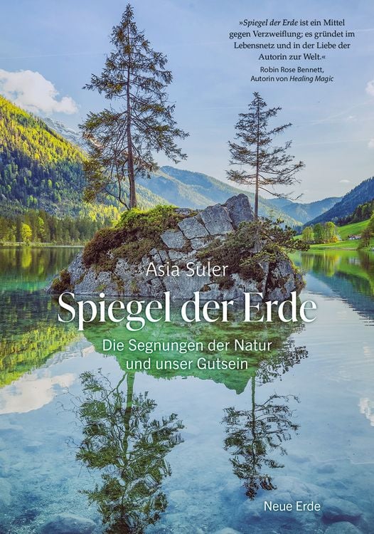 Produktbild: Spiegel der Erde