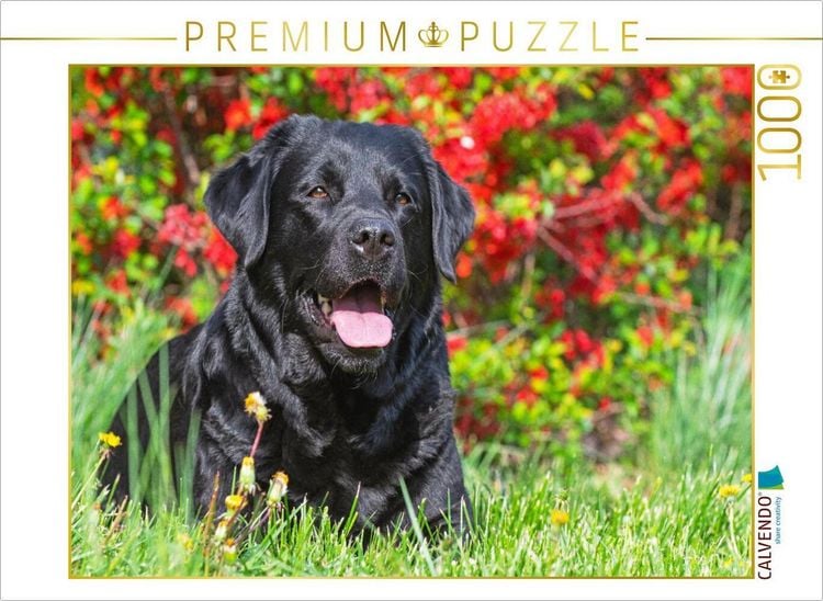 Produktbild: CALVENDO Puzzle Ein wundersch&ouml;nes M&auml;dchen | 1000 Teile Lege-Gr&ouml;&szlig;e 64x48cm Foto-Puzzle f&uuml;r gl&uuml;ckliche Stunden