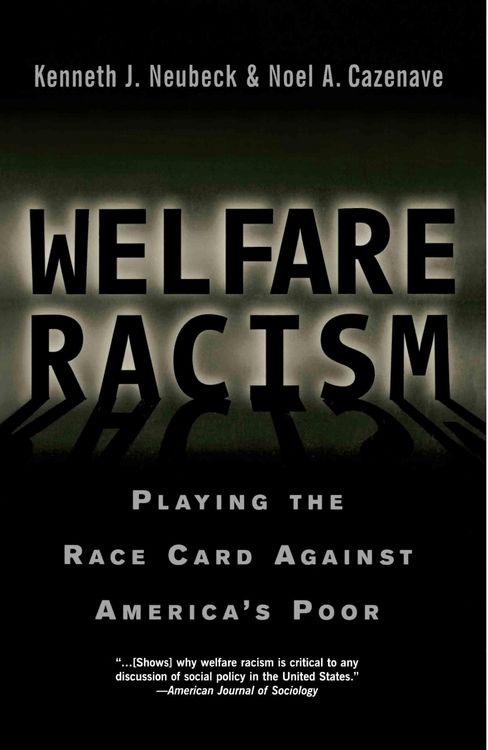 Produktbild: Welfare Racism