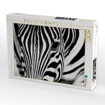 Produktbild: CALVENDO Puzzle Afrika: Nahaufnahme eines Steppenzebra in Botswana | 1000 Teile Lege-Gr&ouml;&szlig;e 64x48cm Foto-Puzzle f&uuml;r gl&uuml;ckliche Stunden