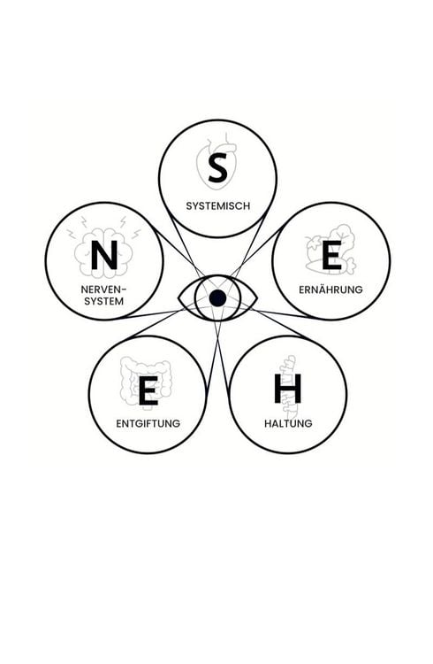 Produktbild: Das S.E.H.E.N. Prinzip.