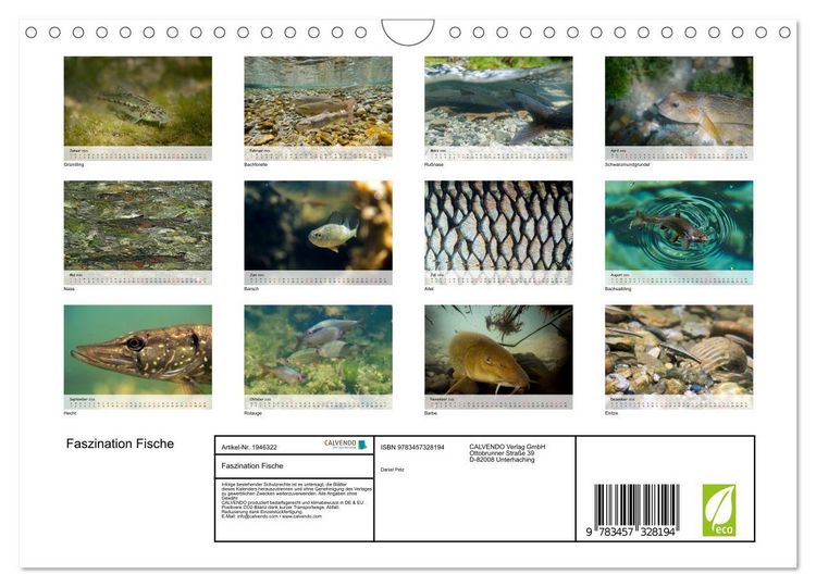 Produktbild: Faszination Fische (Wandkalender 2026 DIN A4 quer), CALVENDO Monatskalender