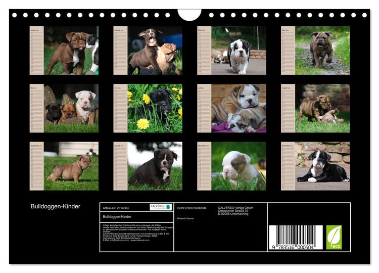 Produktbild: Bulldoggen-Kinder (Wandkalender 2026 DIN A4 quer), CALVENDO Monatskalender