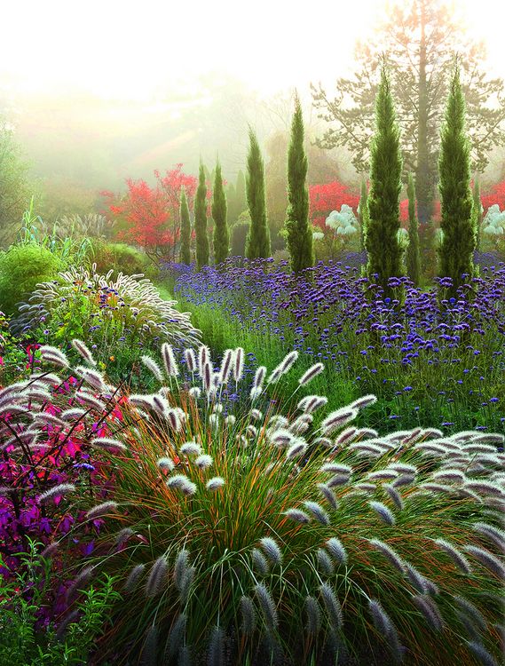 Produktbild: Meine Vision wird Garten