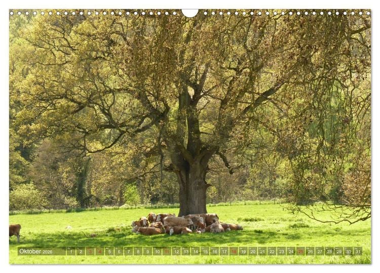Produktbild: Malerische Cotswolds (Wandkalender 2026 DIN A3 quer), CALVENDO Monatskalender
