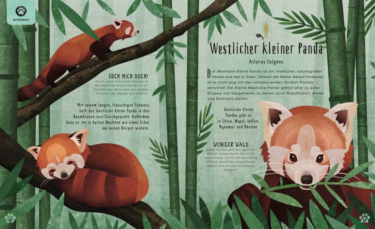Produktbild: Tiere: 50 Geschichten &uuml;ber Mammut, Panda, Elefant und Co.