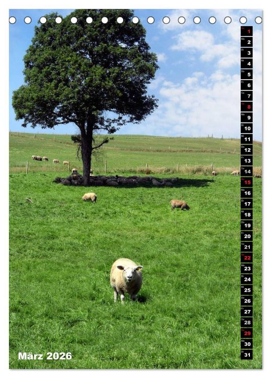 Produktbild: Traumhaftes Irland (Tischkalender 2026 DIN A5 hoch), CALVENDO Monatskalender