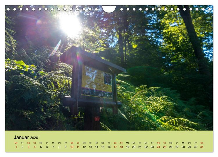 Produktbild: Pilgern im Waldecker Upland (Wandkalender 2026 DIN A4 quer), CALVENDO Monatskalender