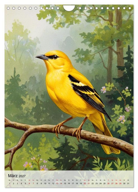 Produktbild: V&ouml;gel, die man selten sieht (Wandkalender 2027 DIN A4 hoch), CALVENDO Monatskalender