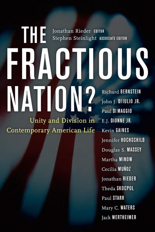 Produktbild: The Fractious Nation?