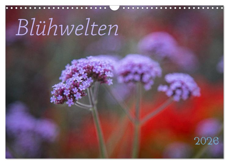 Produktbild: Bl&uuml;hwelten (Wandkalender 2026 DIN A3 quer), CALVENDO Monatskalender