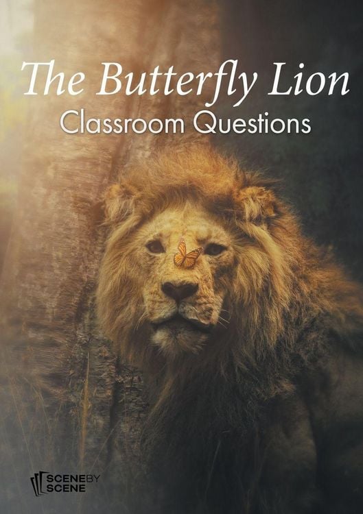 Produktbild: The Butterfly Lion Classroom Questions