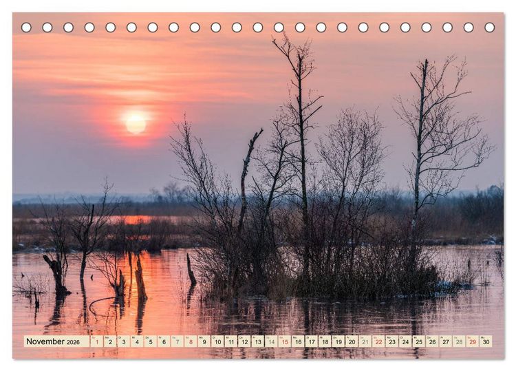 Produktbild: Niedersachsens Natur (Tischkalender 2026 DIN A5 quer), CALVENDO Monatskalender