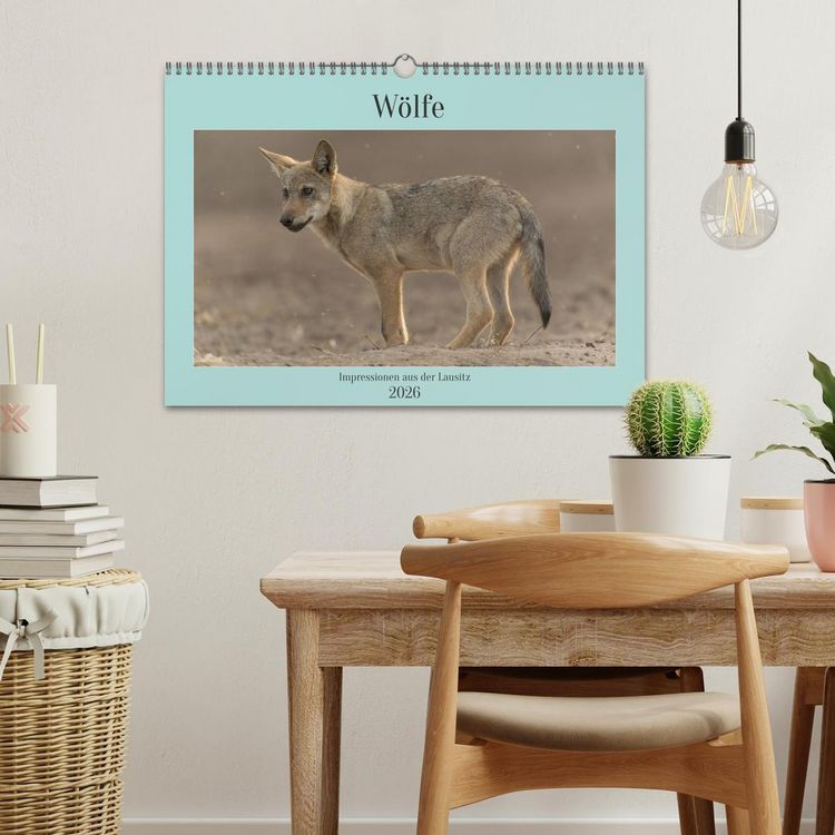 Produktbild: W&ouml;lfe, Impressionen aus der Lausitz (Wandkalender 2026 DIN A3 quer), CALVENDO Monatskalender