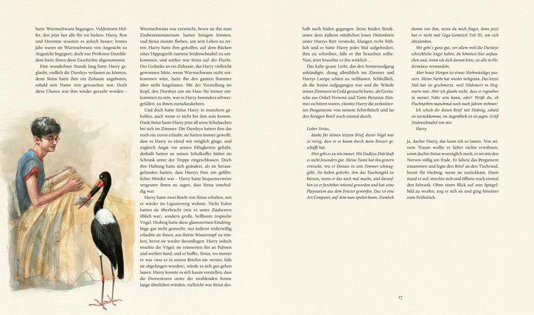 Harry Potter und der Feuerkelch (farbig illustrierte Schmuckausgabe)