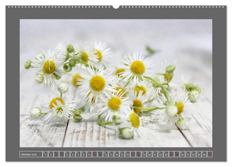 Produktbild: Blumen f&uuml;r dich (Wandkalender 2026 DIN A2 quer), CALVENDO Monatskalender