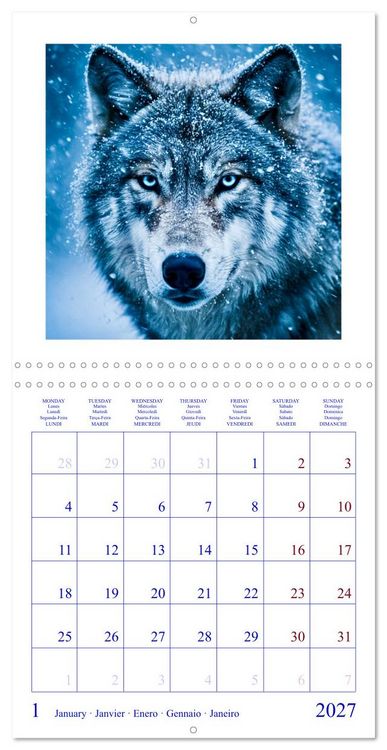 Produktbild: The Forest Fellowship (Wall Calendar 2027 12 &times; 12 Inch) CALVENDO 12 Month Wall Calendar