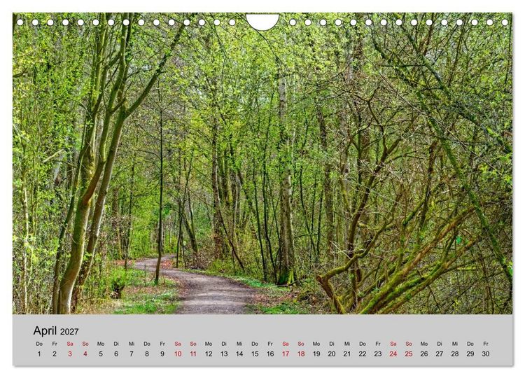 Produktbild: Biosph&auml;renreservat Schaalsee (Wandkalender 2027 DIN A4 quer), CALVENDO Monatskalender
