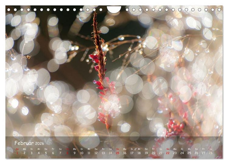 Produktbild: Zauberhaftes Norderstedt (Wandkalender 2026 DIN A4 quer), CALVENDO Monatskalender