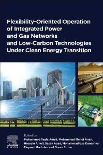 Produktbild: Flexibility-Oriented Operation of Integrated Power and Gas Networks and Low-Carbon Technologies Under Clean Energy Transition