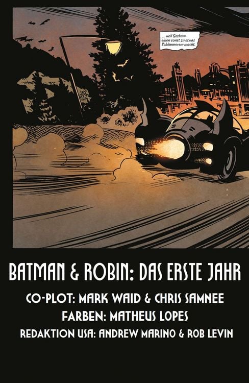 Produktbild: Batman & Robin: Das erste Jahr