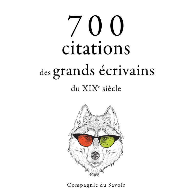 Produktbild: 700 citations des grands écrivains du XIXe siècle