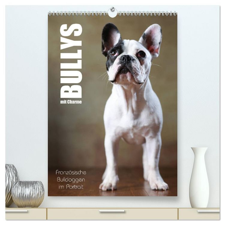 Produktbild: Bullys mit Charme - Franz&ouml;sische Bulldoggen im Portrait (hochwertiger Premium Wandkalender 2026 DIN A2 hoch), Kunstdruck in Hochglanz