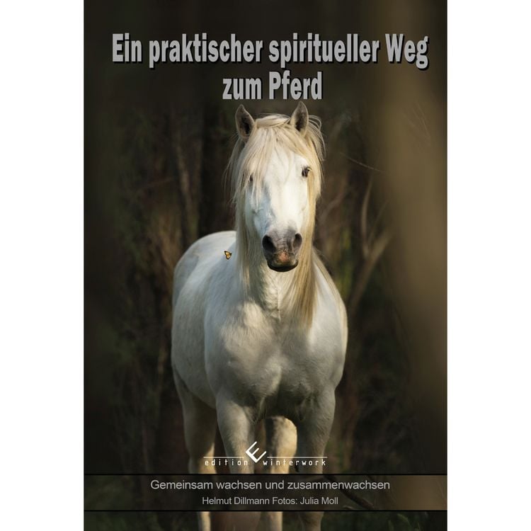Produktbild: Ein praktischer spiritueller Weg zum Pferd