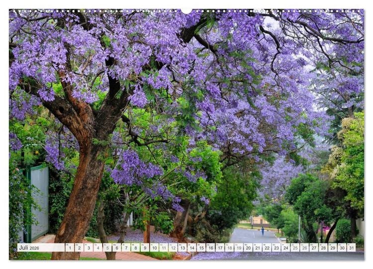 Produktbild: S&uuml;dafrika / Landschaften & Tiere / Christian Heeb (hochwertiger Premium Wandkalender 2026 DIN A2 quer), Kunstdruck in Hochglanz