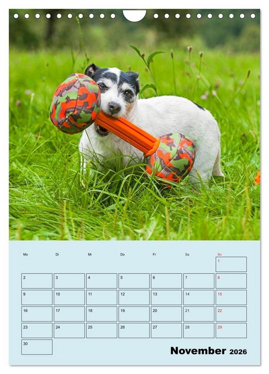 Produktbild: Familienplaner Jack und Parson Russell Terrier (Wandkalender 2026 DIN A4 hoch), CALVENDO Monatskalender