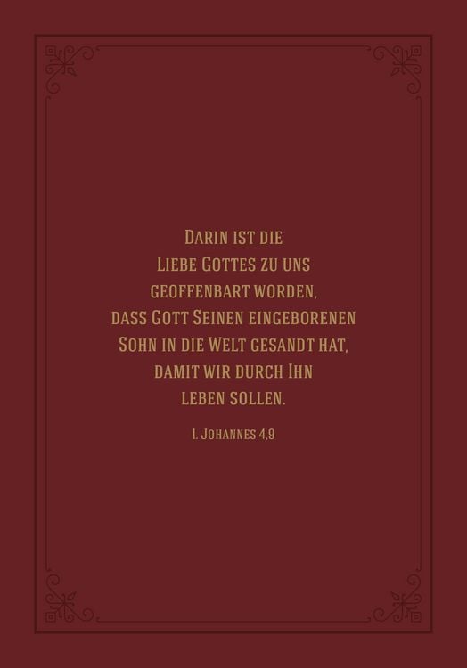 Produktbild: Warum Christus kam