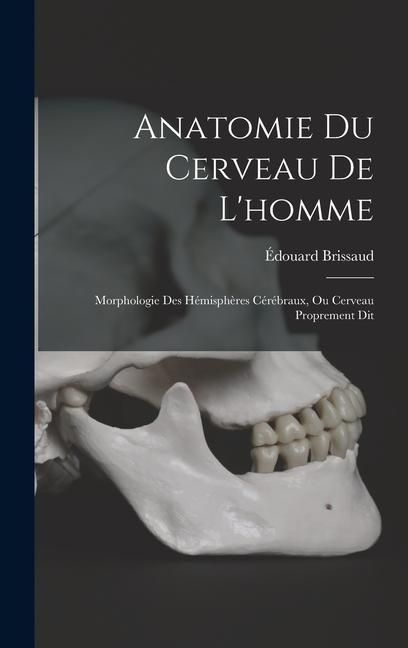 Produktbild: Anatomie Du Cerveau De L'homme