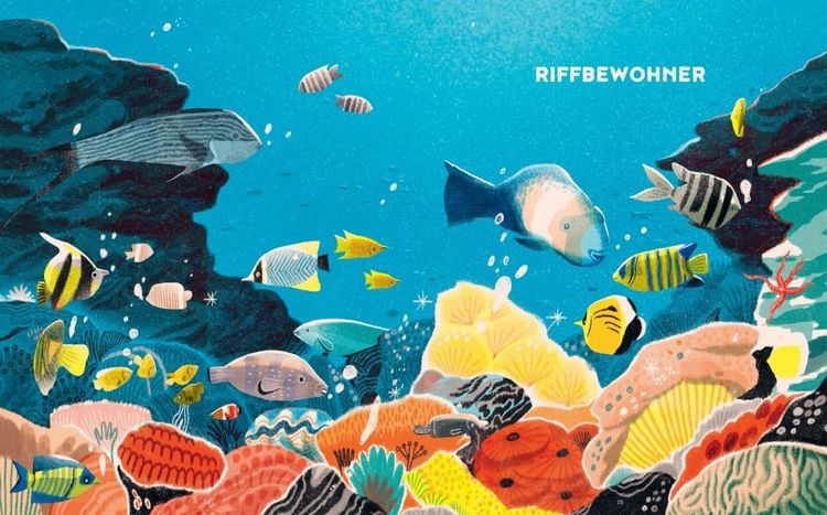 Produktbild: Das Great Barrier Reef