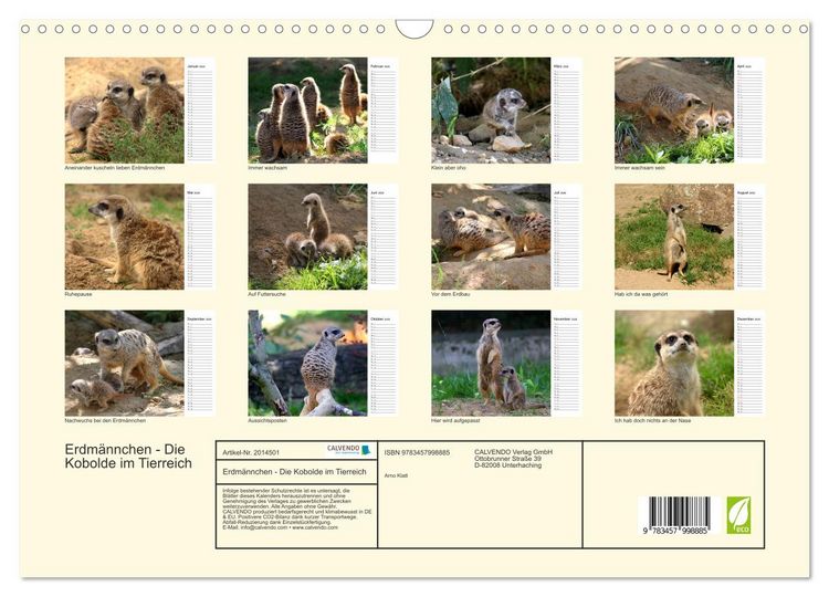 Produktbild: Erdm&auml;nnchen - Die Kobolde im Tierreich (Wandkalender 2026 DIN A3 quer), CALVENDO Monatskalender