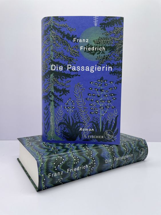 Produktbild: Die Passagierin