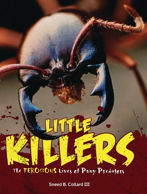 Produktbild: Little Killers