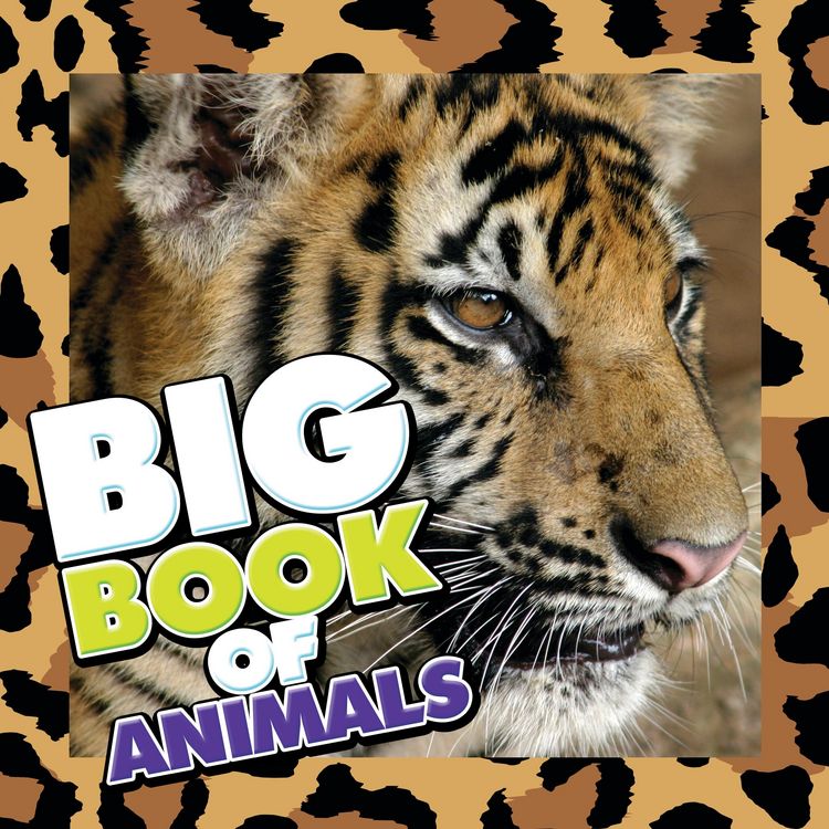 Produktbild: Big Book of Animals
