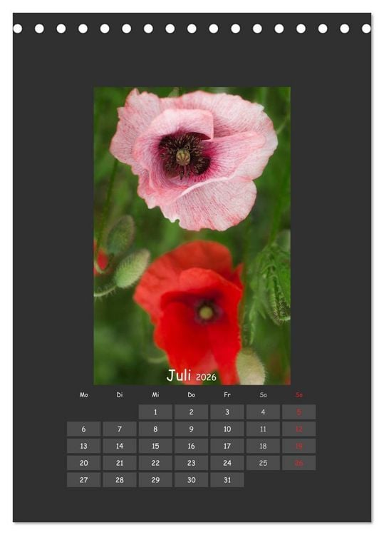 Produktbild: Mohn (Tischkalender 2026 DIN A5 hoch), CALVENDO Monatskalender
