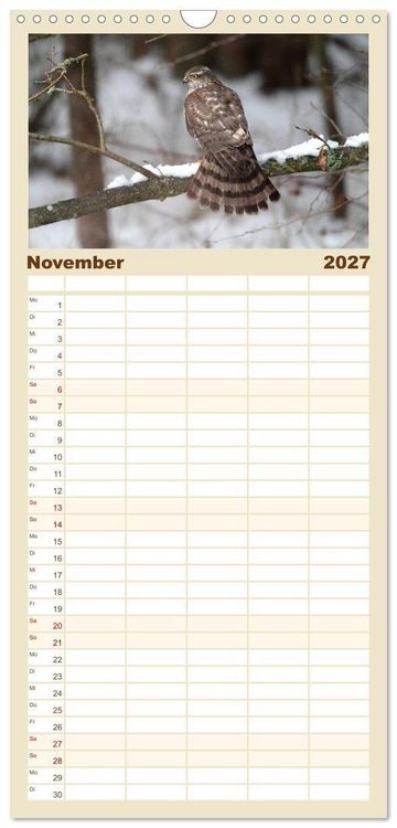 Produktbild: Familienplaner 2027 - Heimische Eulen und Greife mit 5 Spalten (Wandkalender, 21 x 45 cm) CALVENDO
