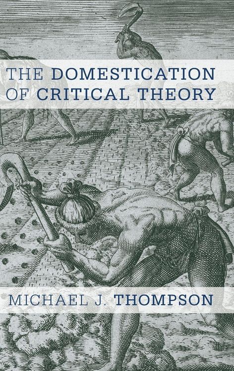 Produktbild: Domestication of Critical Theory