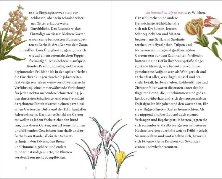 Produktbild: Der kleine Schmetterlingsgarten