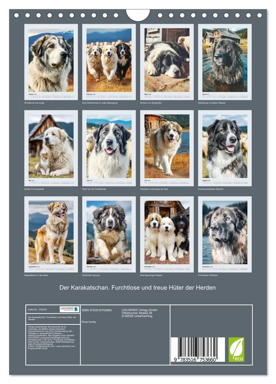 Produktbild: Der Karakatschan. Furchtlose und treue H&uuml;ter der Herden (Wandkalender 2027 DIN A4 hoch), CALVENDO Monatskalender