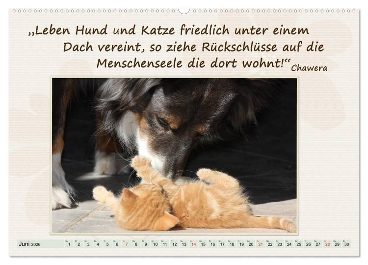 Produktbild: Mit Hundezitaten gut durchs Jahr (Wandkalender 2026 DIN A2 quer), CALVENDO Monatskalender