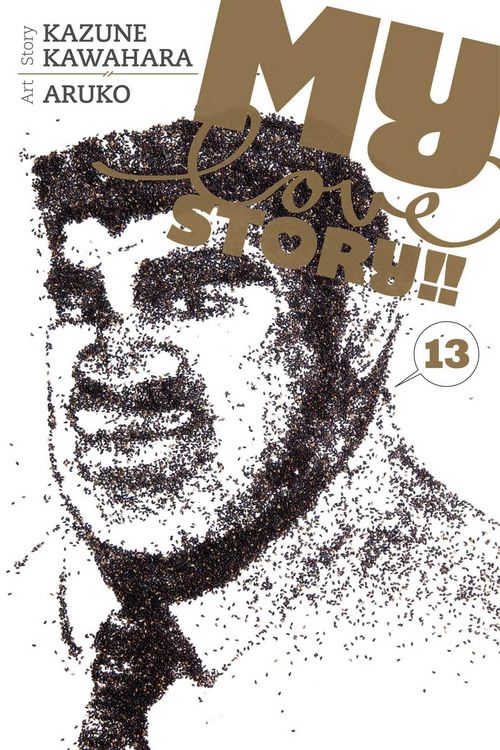 Produktbild: My Love Story!!, Vol. 13