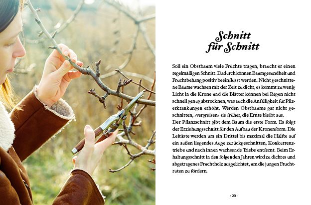 Produktbild: Das große kleine Buch: Obstbäume in unserem Garten