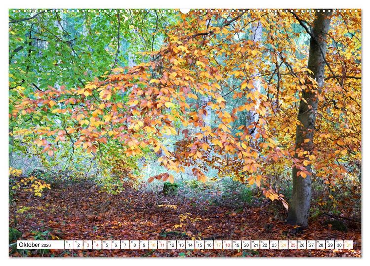 Produktbild: 12 Monate Natur (hochwertiger Premium Wandkalender 2026 DIN A2 quer), Kunstdruck in Hochglanz