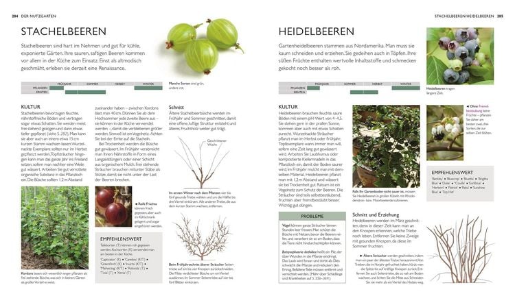 Produktbild: Die neue Gartenschule